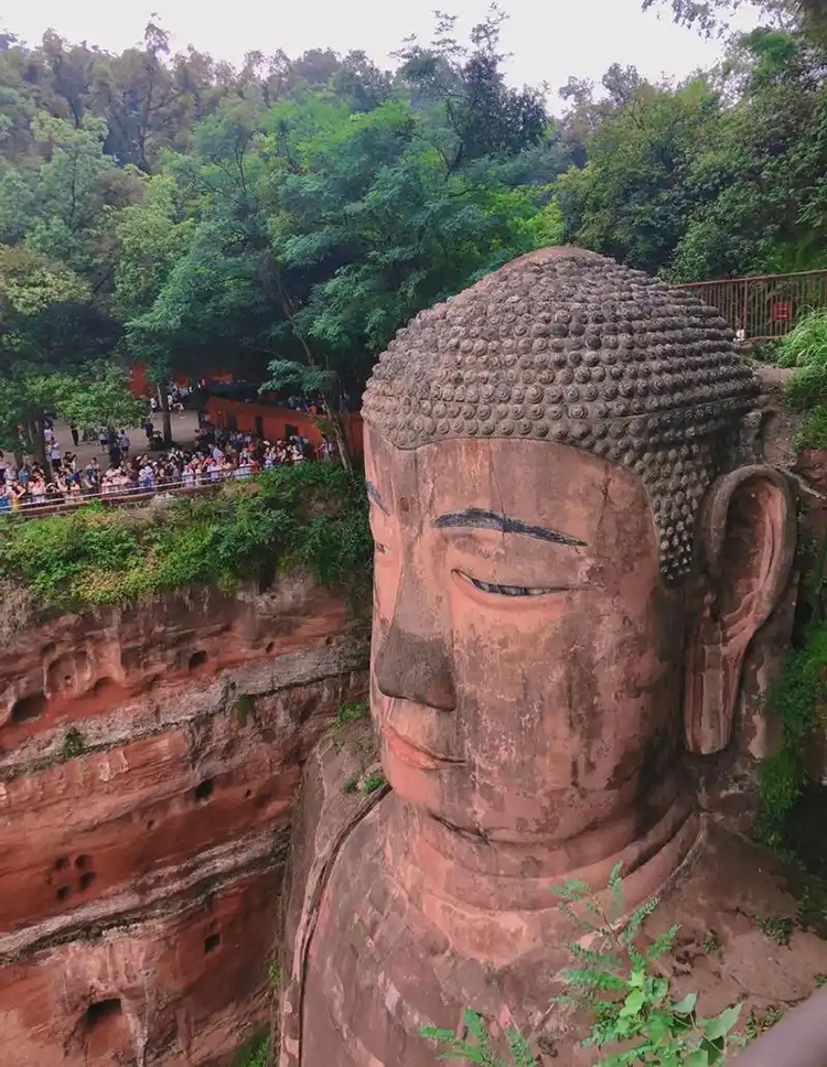 Chengdu: Panda Garden and Leshan Buddha One Day Bus Tour